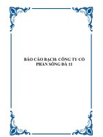 Tài liệu BÁO CÁO BẠCH: CÔNG TY CỔ PHẦN SÔNG ĐÀ 11 ppt