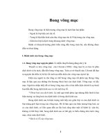 Tài liệu Bài giảng Bong võng mạc doc