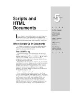 Tài liệu Javascript bible_ Chapter 5 doc