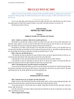 Tài liệu bo luat dan su 2005 pdf