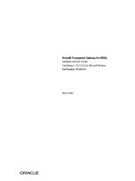 Tài liệu Installation and User’s Guide ppt