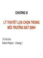 Tài liệu Lý thuyết lựa chọn trong môi trường bất định docx