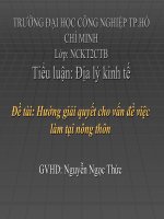 Tài liệu TIỂU LUẬN ĐỀ TÀI: 