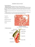 Tài liệu Giào trình Hội chứng vàng da tắc mật doc