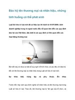 Tài liệu Bảo hộ tên thương mại và nhãn hiệu doc