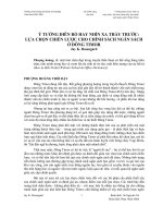 Ý tưởng điên rồ hay nhìn xa thấy trước