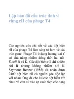 Tài liệu Lập bản đồ cấu trúc tinh vi vùng rII của phage T4 doc