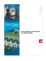 Tài liệu Service Delivery Architecture pdf