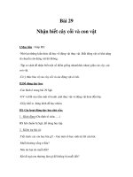 Tài liệu Tự nhiên xã hội 1 - Bài 29, 30 docx