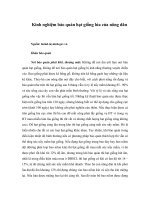 Tài liệu Kinh nghiệm bảo quản hạt giống lúa của nông dân pdf