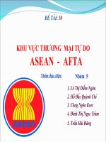 Tài liệu KHU VỰC THƯƠNG MẠI TỰ DO ASEAN - AFTA pdf