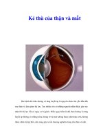 Tài liệu Kẻ thù của thận và mắt docx