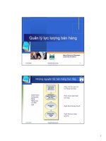 Tài liệu Quản lý lực lượng bán hàng pptx