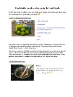 Tài liệu Cocktail chanh – cho ngày hè mát lạnh docx