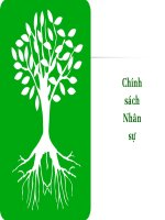 Tài liệu Bài giảng 1: chính sách nhân sự pptx