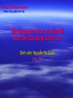 Tài liệu Đa dạng sinh học và vấn đề bảo tồn sinh học docx