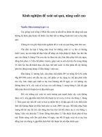 Tài liệu Kinh nghiệm để xoài sai quả, năng suất cao pdf