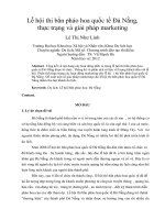 Lễ hội thi bắn pháo hoa quốc tế đà nẵng, thực trạng và giải pháp marketing 