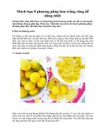 Tài liệu Mách bạn 8 phương pháp làm trắng răng dễ dàng nhất doc