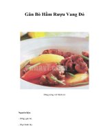 Tài liệu Gân Bò Hầm Rượu Vang Đỏ docx