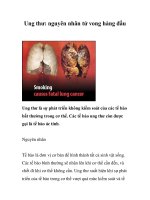 Tài liệu Ung thư: nguyên nhân tử vong hàng đầu docx