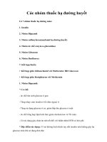 Tài liệu Giáo trình Các nhóm thuốc hạ đường huyết docx