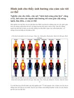 Hình ảnh cho thấy ảnh hưởng của cảm xúc tới cơ thể 