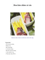 Tài liệu Hoa kim châm xá xíu doc