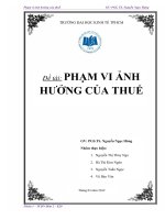 Tiểu luận phạm vi ảnh hưởng của thuế 