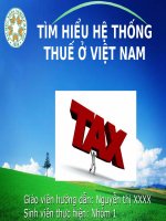 Tài liệu Hệ thống thuế ở Việt Nam docx