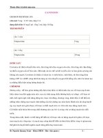 Tài liệu Thuốc điều trị nhồi máu não: CAVINTON pptx