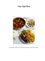 Tài liệu Lẩu Ngũ Hoa pdf