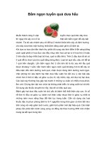 Tài liệu Bấm ngọn tuyển quả dưa hấu pdf