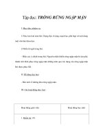 Tài liệu Tập đọc - Trong rừng ngập mặn doc