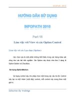 Tài liệu Hướng dẫn sử dụng InfoPath 2010 part 16 pdf