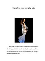 Tài liệu Cung bậc cảm xúc phụ kiện pdf