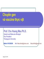 Tài liệu CHUYỂN GEN VÀ VACCINE THỰC VẬT doc