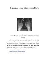 Tài liệu Giảm đau trong bệnh xương khớp docx