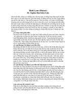 Tài liệu Bệnh Lyme (Disease) Dr. Sophie Đào Kiều Liên pdf