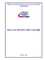 Tài liệu BÁO CÁO THƯỜNG NIÊN NĂM 2008 CỦA CÔNG TY CP ĐÁ ỐP LÁT CAO CẤP VINACONEX VICOSTONE pdf