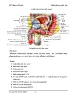 Tài liệu Đề cương Ngoại tiết niệu: Chấn thương niệu đạo docx
