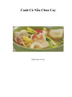 Tài liệu Canh Cà Nấu Chua Cay pptx