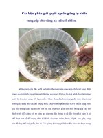 Tài liệu Các biện pháp giải quyết nguồn giống tự nhiên cung cấp cho vùng hạ triều ô nhiễm ppt