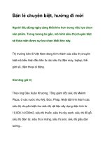 Tài liệu Bán lẻ chuyên biệt, hướng đi mới docx