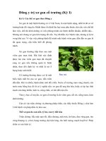 Tài liệu Đông y trị xơ gan cổ trướng (Kỳ I) ppt