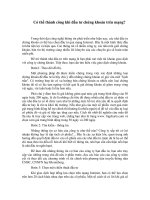 Tài liệu Có thể thành công khi đầu tư chứng khoán trên mạng? ppt