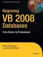 Tài liệu Beginning VB 2008 Databases pdf