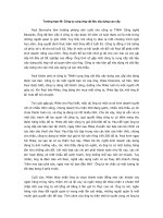 Tài liệu Công ty cung ứng vật liệu xây dựng cao cấp ppt