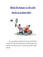 Tài liệu Bệnh sốt dengue và sốt xuất huyết có gì khác biệt? doc