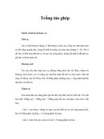 Tài liệu Trồng táo ghép doc